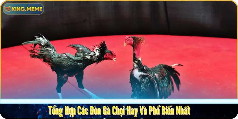Tổng Hợp Các Đòn Gà Chọi Hay Và Phổ Biến Nhất